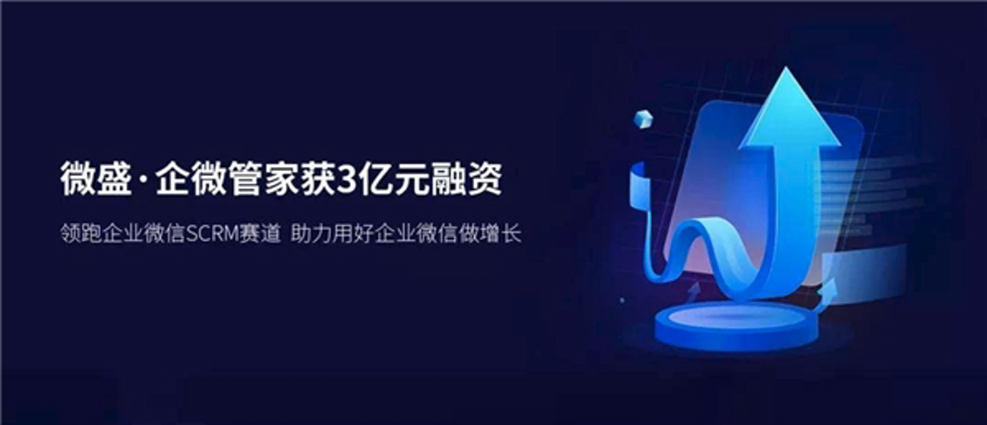 微盛网络咨询